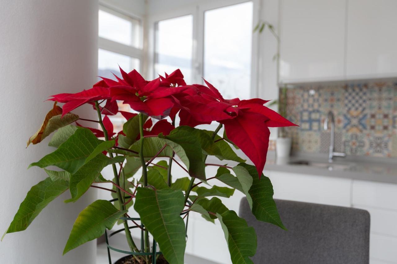 Apt Playa Y Montana Apartment Torremolinos Bagian luar foto